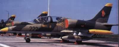 L 39