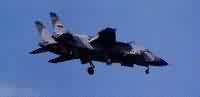 Yak 141 Freestyle